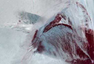 Koyu kırmızı gül bir buz bloğu içinde donmuş, hava kabarcığı dokusu 