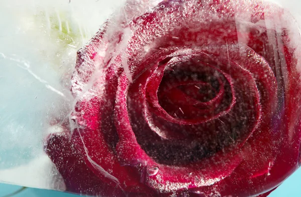 氷の塊の中で凍る濃い赤のバラの花 気泡の質感 — ストック写真