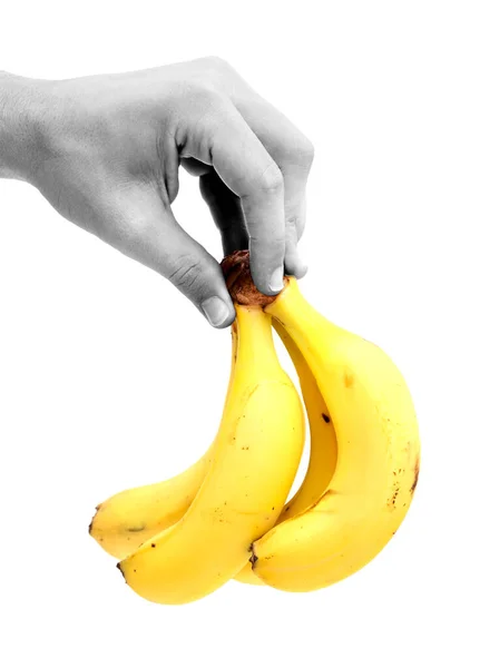 Banda Malých Banánů Kanárských Ostrovů Španělsko — Stock fotografie