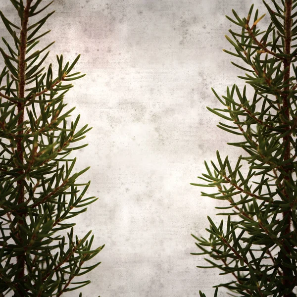 Elegant Texturerat Gammalt Papper Fyrkantig Bakgrund Med Erica Arborea Tree — Stockfoto