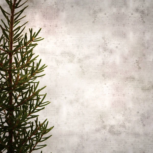 Stylish Textured Old Paper Square Background Erica Arborea Tree Heather — Stock Photo, Image