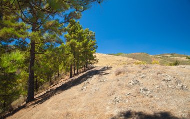 Gran canaria, iç