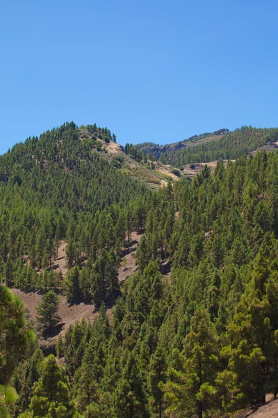 Gran Canaria, inland — Stockfoto