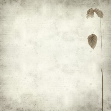 desenli eski kağıt arkaplan  