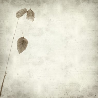 desenli eski kağıt arkaplan  