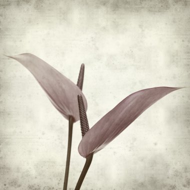 desenli eski kağıt arkaplan  