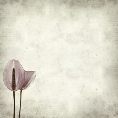 desenli eski kağıt arkaplan  