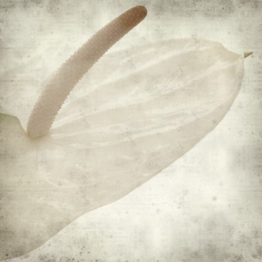 desenli eski kağıt arkaplan  