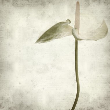 desenli eski kağıt arkaplan  