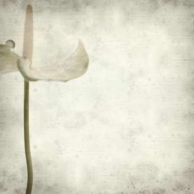 desenli eski kağıt arkaplan  