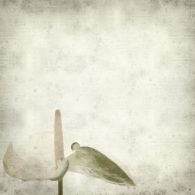 desenli eski kağıt arkaplan  