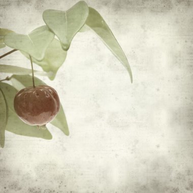 desenli eski kağıt arkaplan  