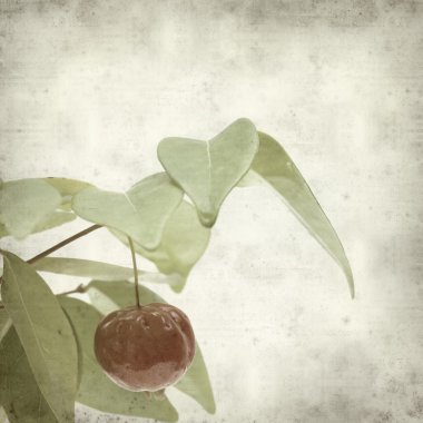 desenli eski kağıt arkaplan  