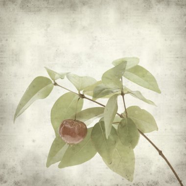 desenli eski kağıt arkaplan  