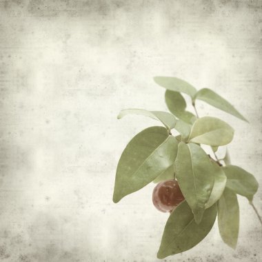 desenli eski kağıt arkaplan  