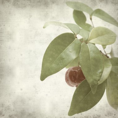 desenli eski kağıt arkaplan  