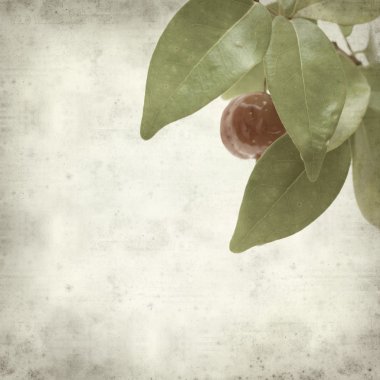 desenli eski kağıt arkaplan  