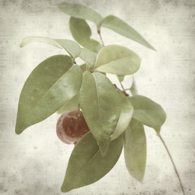 desenli eski kağıt arkaplan  