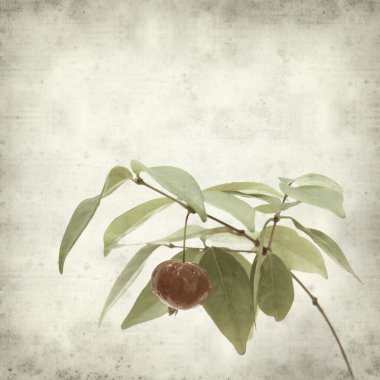 desenli eski kağıt arkaplan  