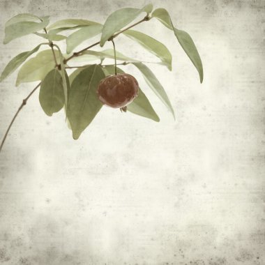 desenli eski kağıt arkaplan  