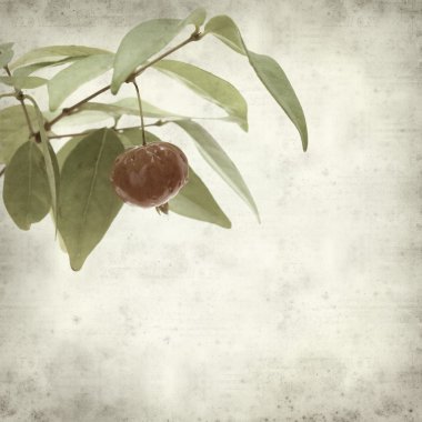 desenli eski kağıt arkaplan  