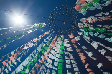 kiraz kuşu ve güneş