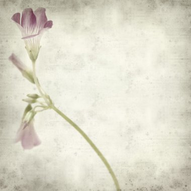 desenli eski kağıt arkaplan 