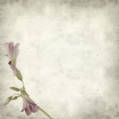 desenli eski kağıt arkaplan 