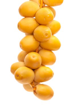 beyaz izole meyve taze tarihi