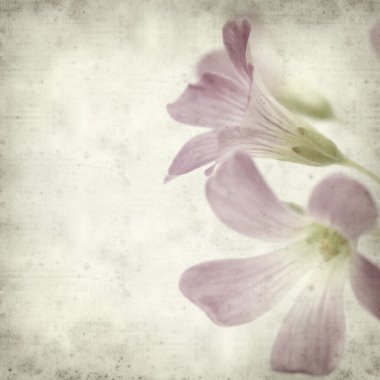 desenli eski kağıt arkaplan  