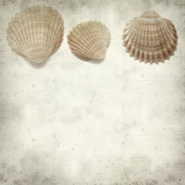 eski kağıt arka plan ile dokulu 