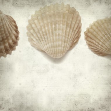 eski kağıt arka plan ile dokulu 