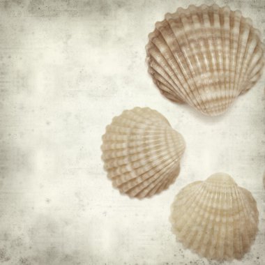 eski kağıt arka plan ile dokulu 