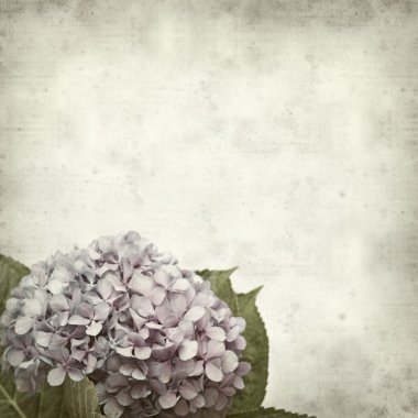 desenli eski kağıt arkaplan  