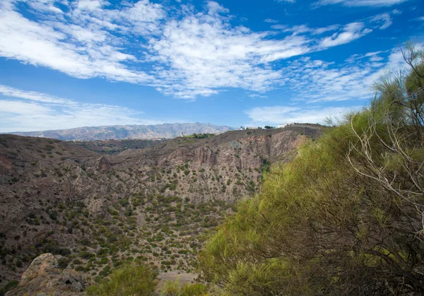 Gran Canaria, Caldera de Bandama — Stok fotoğraf