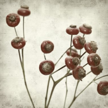 desenli eski kağıt arkaplan  