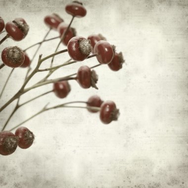 desenli eski kağıt arkaplan  