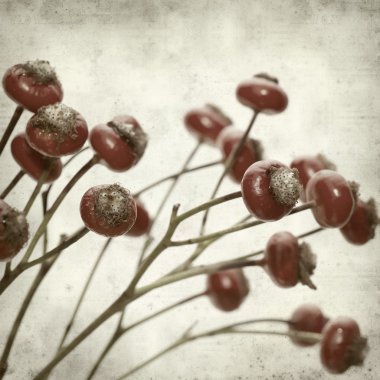 desenli eski kağıt arkaplan  