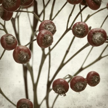 desenli eski kağıt arkaplan  