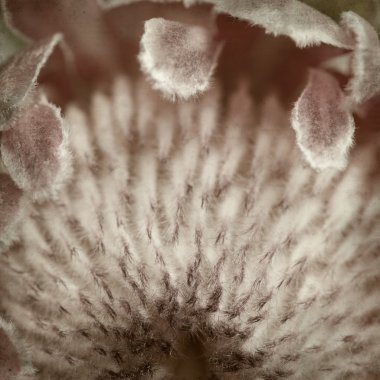 desenli eski kağıt arkaplan  