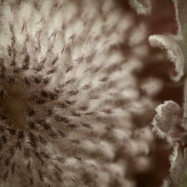 desenli eski kağıt arkaplan  