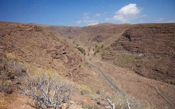 Barranco de guayadeque ravijn, gran canaria — Stockfoto