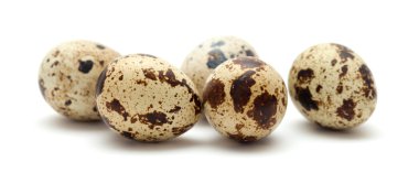 beyaz izole bıldırcın yumurtası