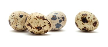 beyaz izole bıldırcın yumurtası