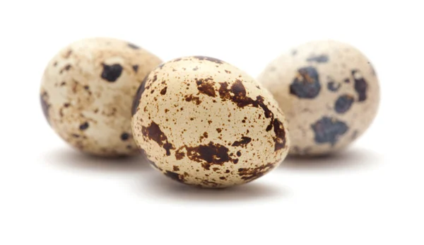 Перепелині яйця ізольовані на білому — стокове фото