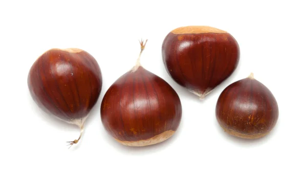 Castanhas doces isoladas em branco — Fotografia de Stock