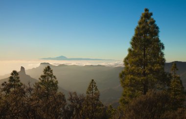 Gran Canaria, Caldera de Tejeda, akşam ışığı