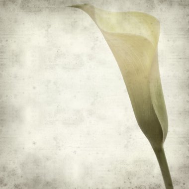 desenli eski kağıt arkaplan  