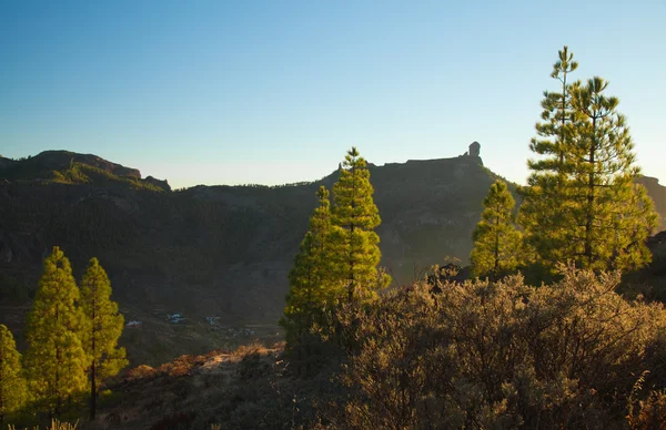 Gran canaria, caldera de tejeda, Abendlicht — Stockfoto