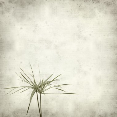 desenli eski kağıt arkaplan